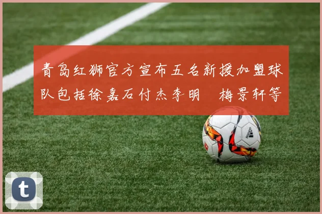 青岛红狮官方宣布五名新援加盟球队包括徐嘉石付杰李明璠梅景轩等球员