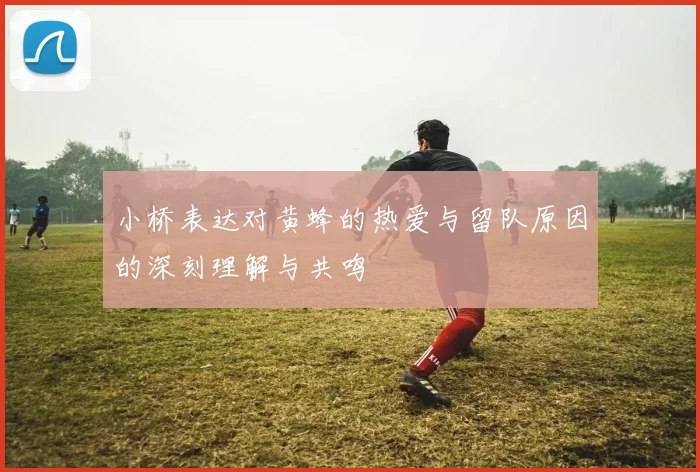 小桥表达对黄蜂的热爱与留队原因的深刻理解与共鸣
