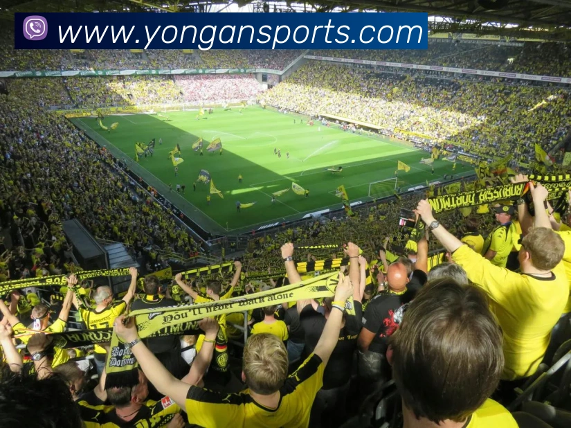 九游网官网网页版全站App